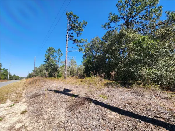 TBD SW IVY PL, Dunnellon, FL 34431