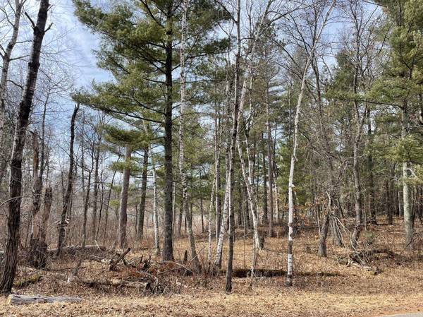 26210 Edna LN, Nisswa, MN 56468