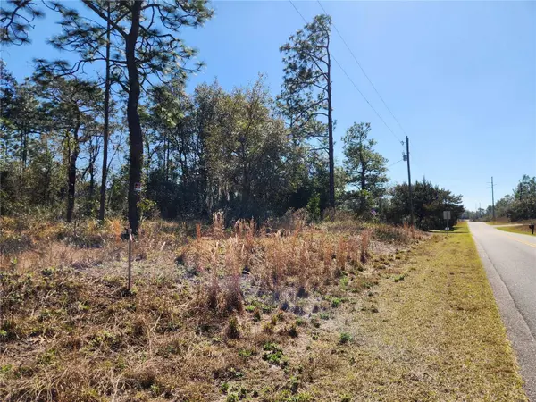 TBD SW IVY PL, Dunnellon, FL 34431