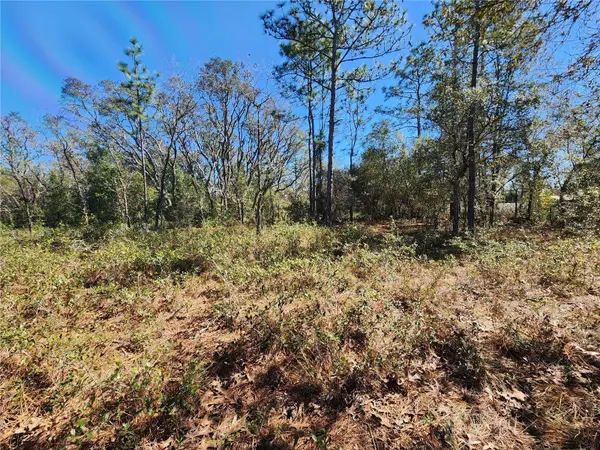 TBD SW IVY PL, Dunnellon, FL 34431