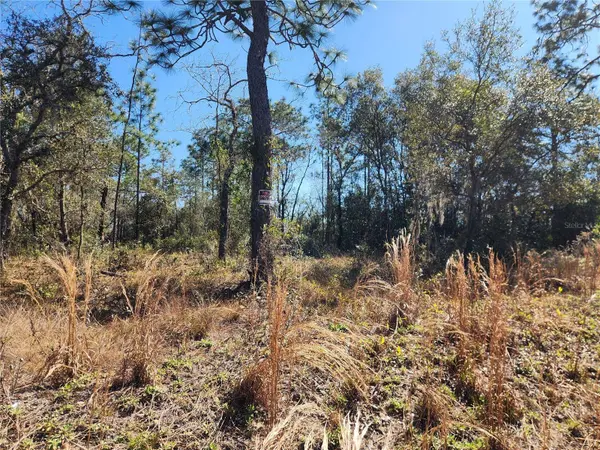 TBD SW IVY PL, Dunnellon, FL 34431