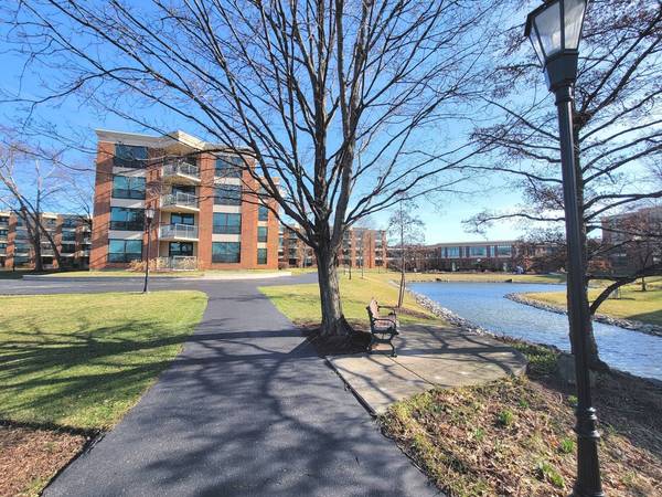 1220 N Village DR #335, Arlington Heights, IL 60004