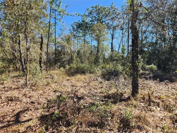 TBD SW IVY PL, Dunnellon, FL 34431