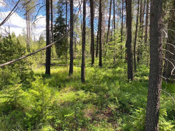 xx W Montgomery Rd, Deer Park, WA 99006