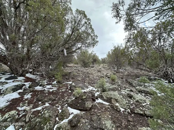 8367 Juniper DR, Show Low, AZ 85901