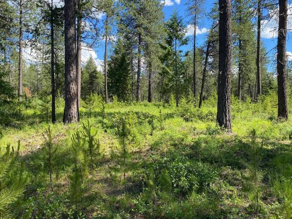 xx W Montgomery Rd, Deer Park, WA 99006