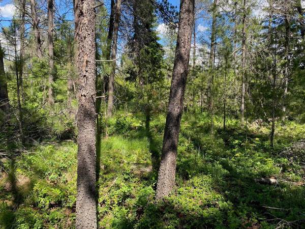 xx W Montgomery Rd, Deer Park, WA 99006