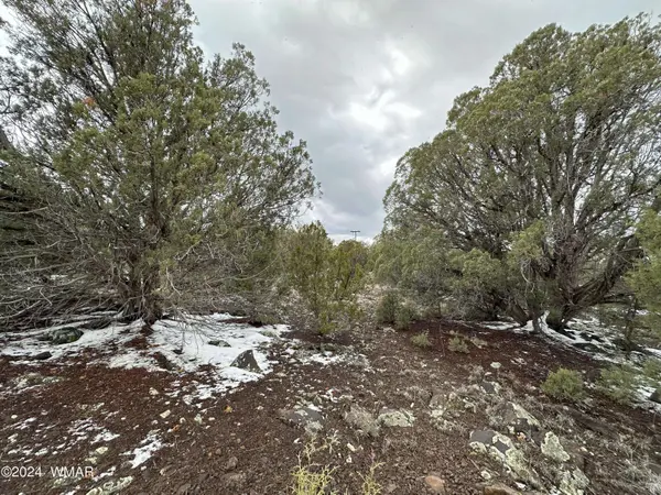 8367 Juniper DR, Show Low, AZ 85901