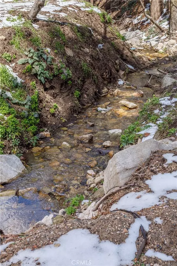 593 Community DR, Lake Arrowhead, CA 92352