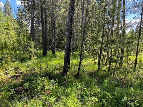 xx W Montgomery Rd, Deer Park, WA 99006