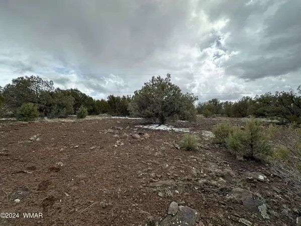 8367 Juniper DR, Show Low, AZ 85901