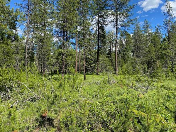 xx W Montgomery Rd, Deer Park, WA 99006