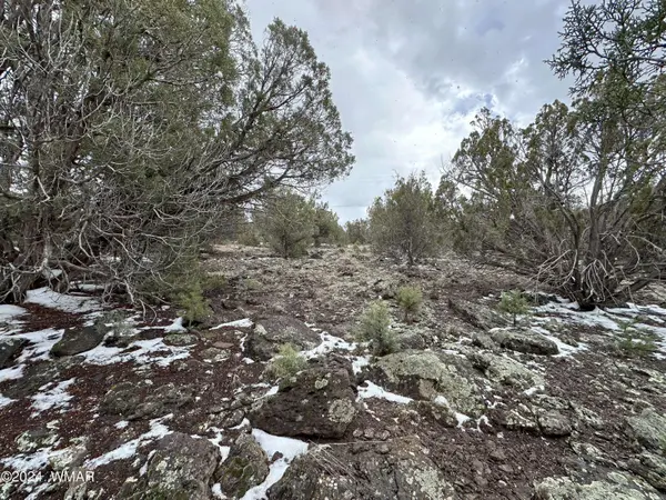 8367 Juniper DR, Show Low, AZ 85901