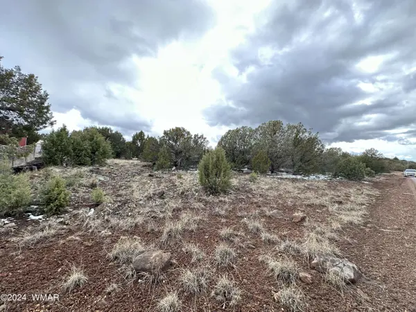 8367 Juniper DR, Show Low, AZ 85901