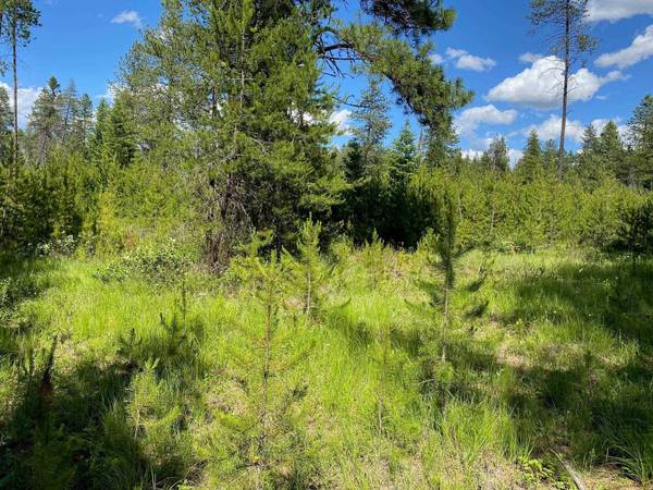 xx W Montgomery Rd, Deer Park, WA 99006