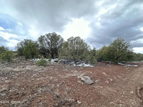 8367 Juniper DR, Show Low, AZ 85901