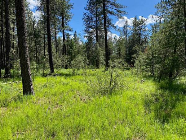 xx W Montgomery Rd, Deer Park, WA 99006