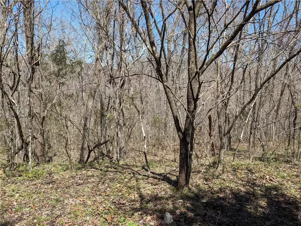 Lot 18 Ashdown Ln, Bella Vista, AR 72714