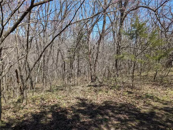 Lot 18 Ashdown Ln, Bella Vista, AR 72714