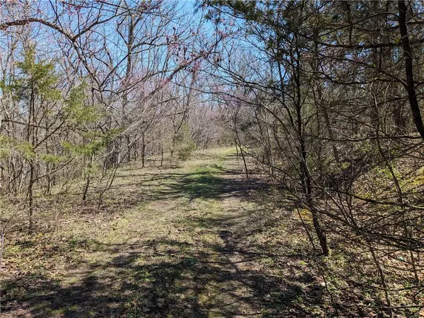 Lot 18 Ashdown Ln, Bella Vista, AR 72714