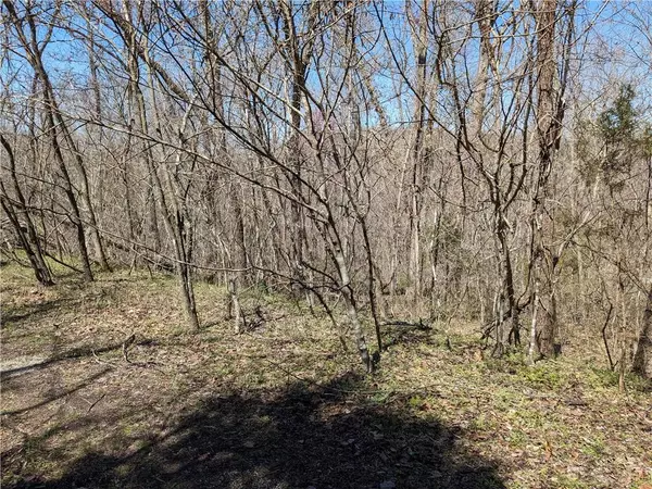 Lot 18 Ashdown Ln, Bella Vista, AR 72714