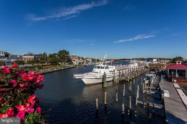 230 ABBOTT PARK LN #2352, Lewes, DE 19958