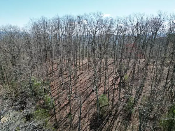 Lot 54 Somerset Ridge Drive, Murphy, NC 28906