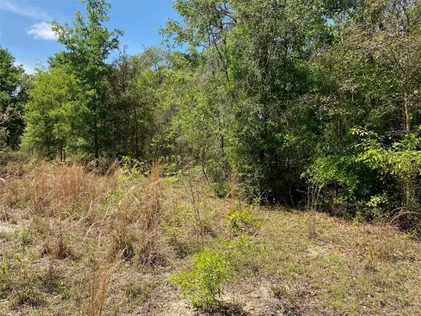 TBD NE 9TH ST, Williston, FL 32696