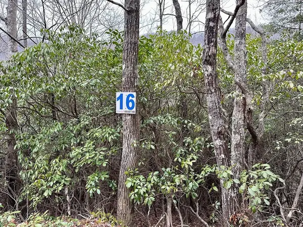 15-19 Indian Rock Springs, Murphy, NC 28906