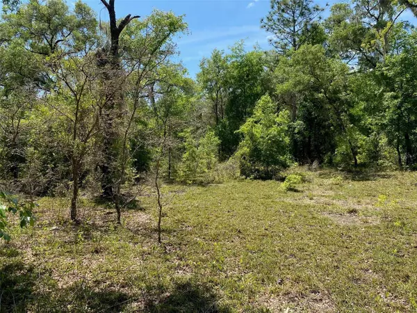 TBD NE 9TH ST, Williston, FL 32696