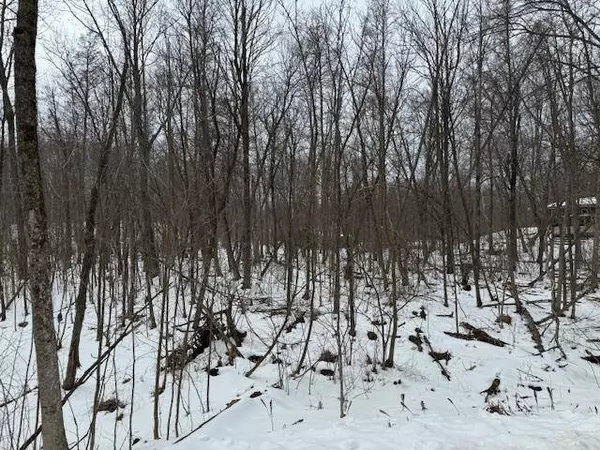 TBD Melody LN, Garrison, MN 56450