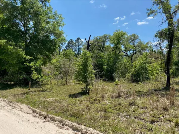 TBD NE 9TH ST, Williston, FL 32696