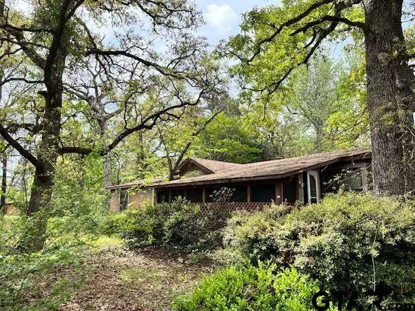 2461 County Road 3412, Chandler, TX 75758