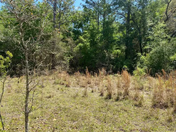 TBD NE 9TH ST, Williston, FL 32696