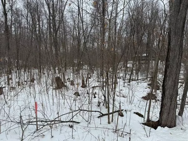 TBD Melody LN, Garrison, MN 56450