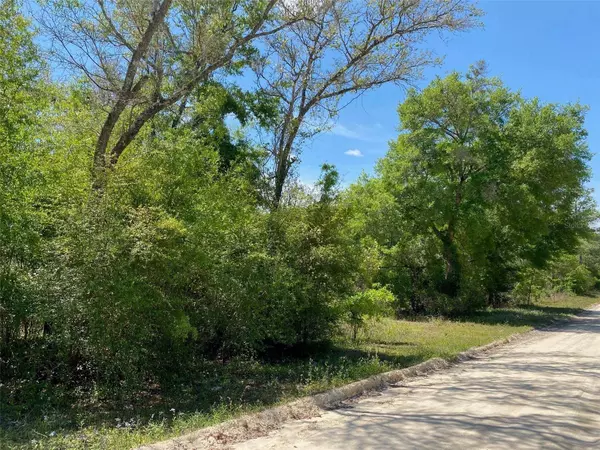 TBD NE 9TH ST, Williston, FL 32696