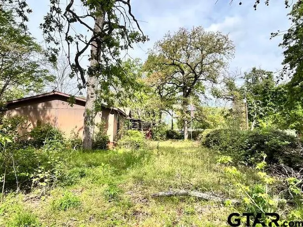 2461 County Road 3412, Chandler, TX 75758