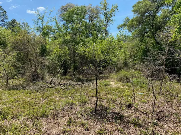 TBD NE 9TH ST, Williston, FL 32696