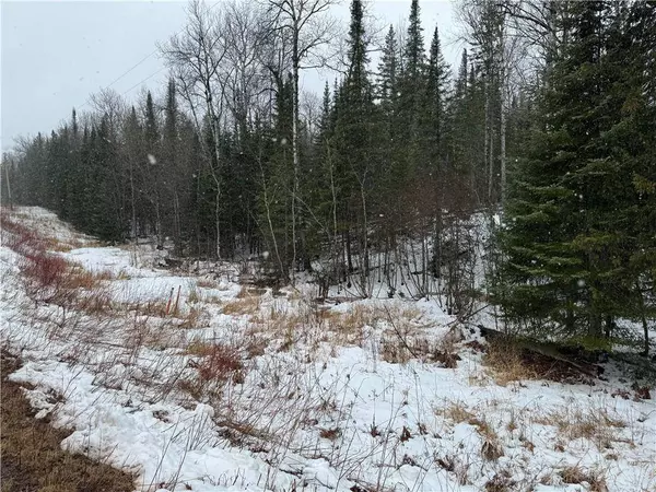 5 acres on Severson Road, Port Wing, WI 54865