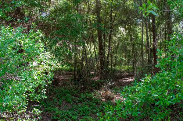 0 LAREDO ST, Keystone Heights, FL 32656