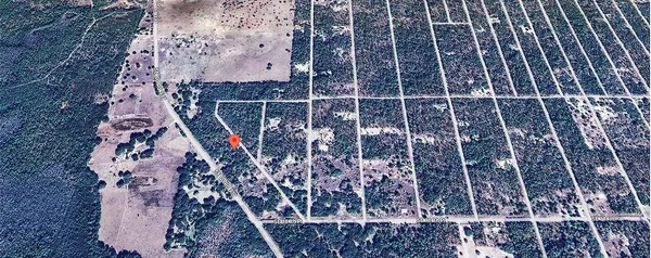 TBD SE 123RD AVE, Dunnellon, FL 34431