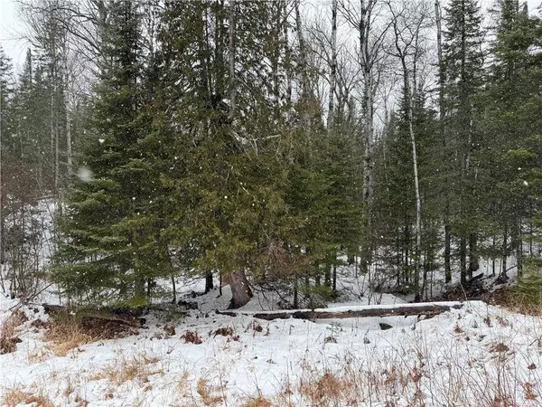 5 acres on Severson Road, Port Wing, WI 54865