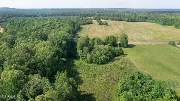 0 Stull Road, Brandon, MS 39047