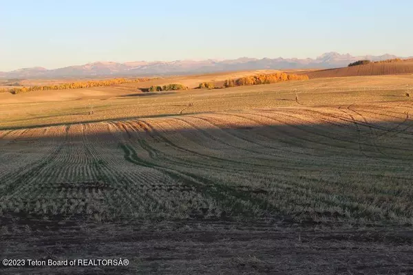 4125 MOUNTAIN SHADOWS LN, Drummond, ID 83420