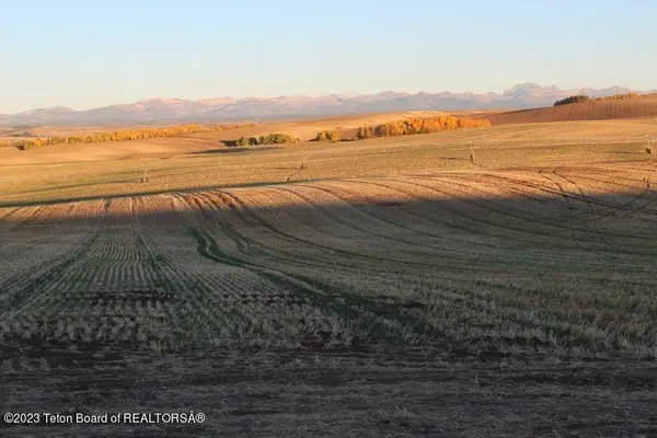 4126 MOUNTAIN SHADOWS LN, Drummond, ID 83420