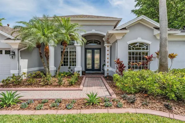 10805 BARBADOS ISLE DR, Tampa, FL 33647