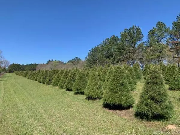 149 Christmas Tree Lane, Bismarck, AR 71929