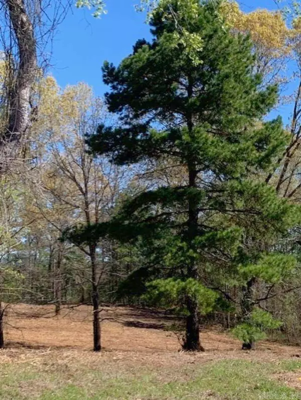 149 Christmas Tree Lane, Bismarck, AR 71929