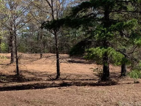 149 Christmas Tree Lane, Bismarck, AR 71929