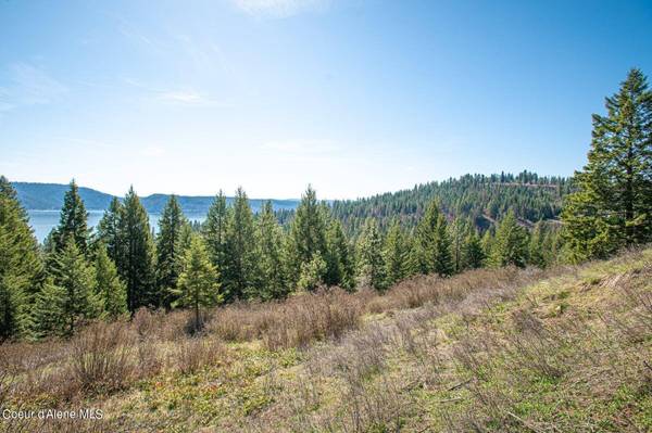 L401 W Mylonite Dr, Coeur d'Alene, ID 83814
